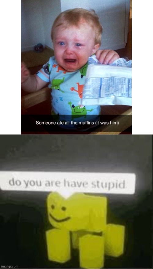 do you are have stupid | image tagged in do you are have stupid,muffins,kids | made w/ Imgflip meme maker