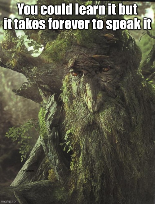Tree Beard | You could learn it but it takes forever to speak it | image tagged in tree beard | made w/ Imgflip meme maker