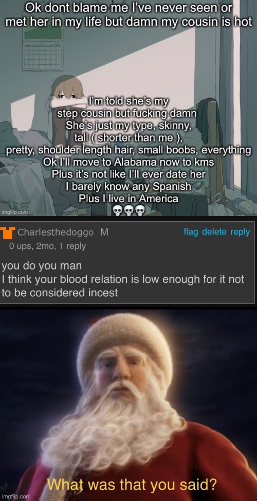 image tagged in what was that you said | made w/ Imgflip meme maker