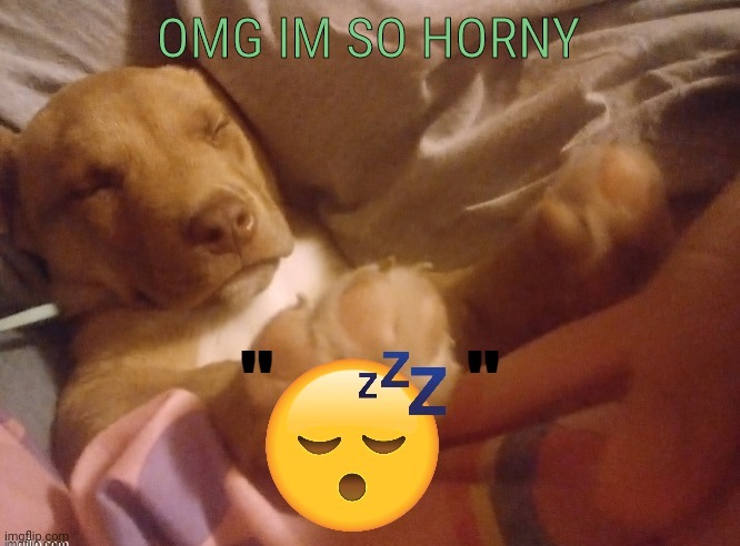 but replace "horny" with "tired" | OMG IM SO HORNY | image tagged in quandale | made w/ Imgflip meme maker