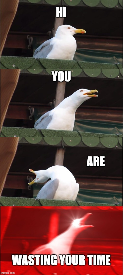 Inhaling Seagull | HI; YOU; ARE; WASTING YOUR TIME | image tagged in memes,inhaling seagull | made w/ Imgflip meme maker