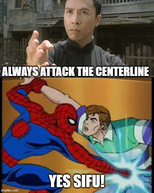 Yes Sifu! | ALWAYS ATTACK THE CENTERLINE; YES SIFU! | image tagged in wing chun ip man,spider dick punch bl4h,nuts | made w/ Imgflip meme maker
