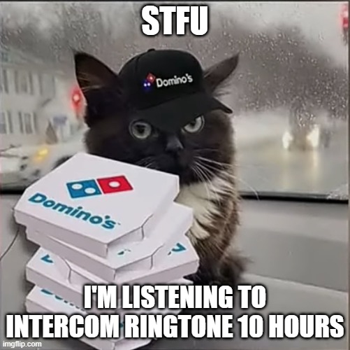Dominos Cat | STFU; I'M LISTENING TO INTERCOM RINGTONE 10 HOURS | image tagged in dominos cat | made w/ Imgflip meme maker