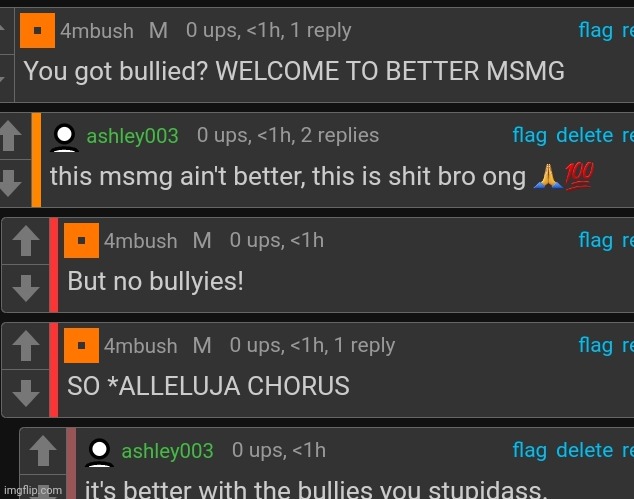 turns out "ashley003" is YLC | made w/ Imgflip meme maker