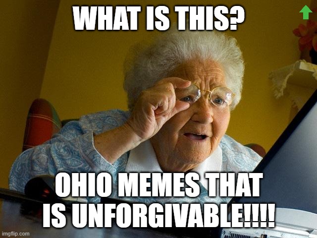 Grandma Finds The Internet | WHAT IS THIS? OHIO MEMES THAT IS UNFORGIVABLE!!!! | image tagged in memes,grandma finds the internet | made w/ Imgflip meme maker