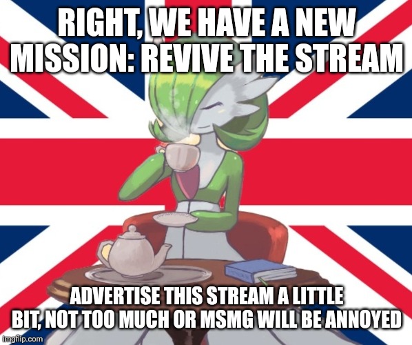 Gardi the Bri'ish | RIGHT, WE HAVE A NEW MISSION: REVIVE THE STREAM; ADVERTISE THIS STREAM A LITTLE BIT, NOT TOO MUCH OR MSMG WILL BE ANNOYED | image tagged in gardi the bri'ish | made w/ Imgflip meme maker
