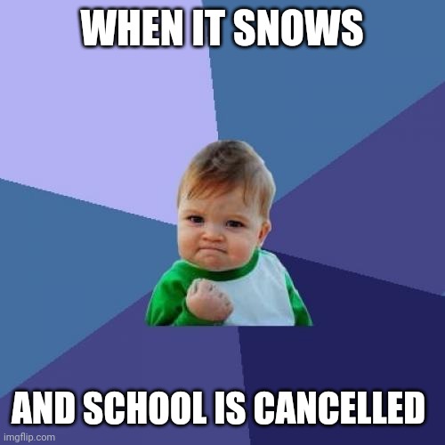 Success Kid | WHEN IT SNOWS; AND SCHOOL IS CANCELLED | image tagged in memes,success kid | made w/ Imgflip meme maker
