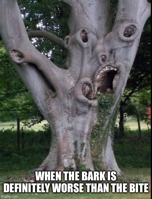 The tree that bites | WHEN THE BARK IS DEFINITELY WORSE THAN THE BITE | image tagged in tree,barking,bite | made w/ Imgflip meme maker