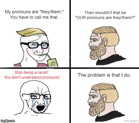 They're YOUR "rules"-- you follow 'em | Then shouldn't that be "OUR pronouns are they/them?"; My pronouns are "they/them." You have to call me that. Stop being a racist!  You don't understand pronouns! The problem is that I do. | made w/ Imgflip meme maker