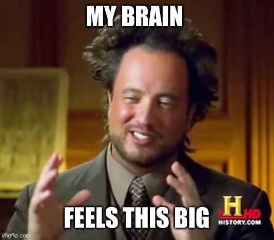 His brain is as big as his hair | MY BRAIN; FEELS THIS BIG | image tagged in memes,ancient aliens | made w/ Imgflip meme maker