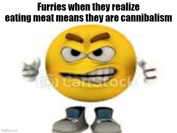 think about it furries | Furries when they realize eating meat means they are cannibalism | image tagged in anti furry,angery | made w/ Imgflip meme maker