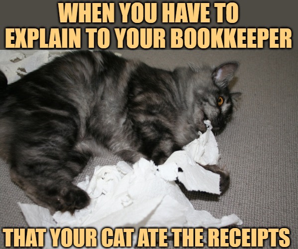 Cats, the original paper shredders | WHEN YOU HAVE TO EXPLAIN TO YOUR BOOKKEEPER; THAT YOUR CAT ATE THE RECEIPTS | image tagged in cat eating paper,pets,animals,pet lovers,funny memes,pet humor | made w/ Imgflip meme maker
