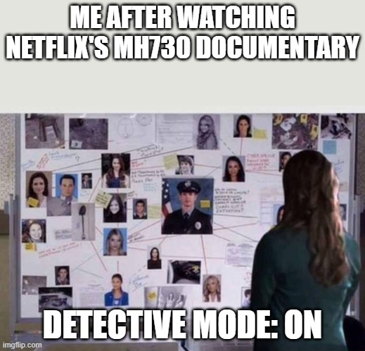 Rise of the sleuths | ME AFTER WATCHING NETFLIX'S MH730 DOCUMENTARY; DETECTIVE MODE: ON | image tagged in investigation,relatable memes,memes | made w/ Imgflip meme maker