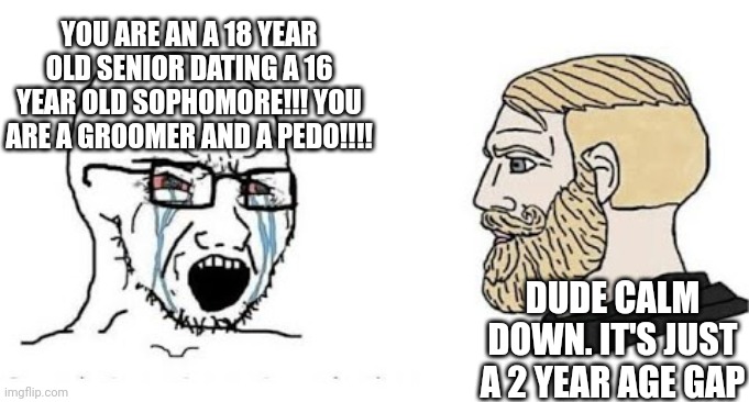 People never learn | YOU ARE AN A 18 YEAR OLD SENIOR DATING A 16 YEAR OLD SOPHOMORE!!! YOU ARE A GROOMER AND A PEDO!!!! DUDE CALM DOWN. IT'S JUST A 2 YEAR AGE GAP | image tagged in soyjak vs chad,funny memes,teenagers,lol | made w/ Imgflip meme maker