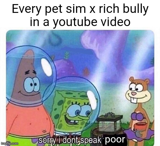 Why though? | Every pet sim x rich bully
in a youtube video; poor | image tagged in sorry i dont speak wrong | made w/ Imgflip meme maker