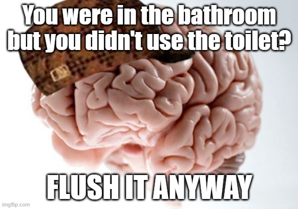 Scumbag Brain | You were in the bathroom but you didn't use the toilet? FLUSH IT ANYWAY | image tagged in memes,scumbag brain,AdviceAnimals | made w/ Imgflip meme maker