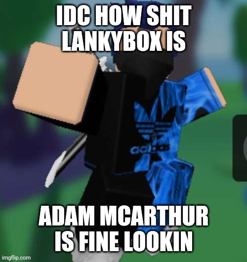 MR BEEEEEAAAAAA | IDC HOW SHIT LANKYBOX IS; ADAM MCARTHUR IS FINE LOOKIN | image tagged in mr beeeeeaaaaaa | made w/ Imgflip meme maker