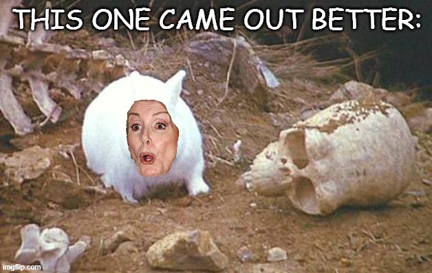 Monty Python rabbit | THIS ONE CAME OUT BETTER: | image tagged in monty python rabbit | made w/ Imgflip meme maker