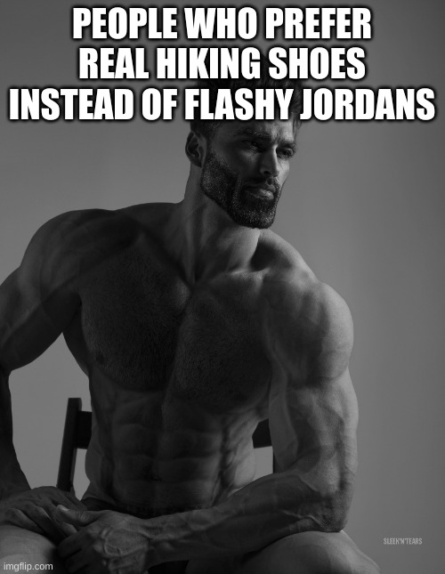 Giga Chad | PEOPLE WHO PREFER REAL HIKING SHOES INSTEAD OF FLASHY JORDANS | image tagged in giga chad | made w/ Imgflip meme maker