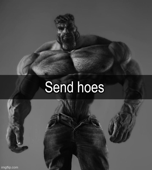 GigaChad | Send hoes | image tagged in gigachad | made w/ Imgflip meme maker