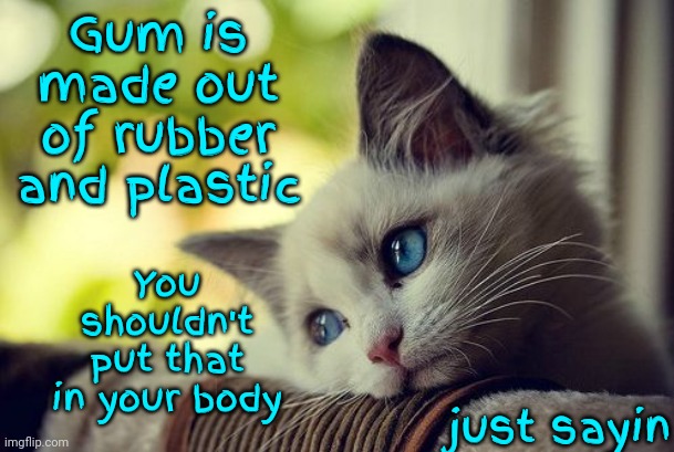 First World Problems Cat Meme | Gum is made out of rubber and plastic You shouldn't put that in your body just sayin | image tagged in memes,first world problems cat | made w/ Imgflip meme maker