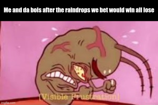 True | Me and da bois after the raindrops we bet would win all lose | image tagged in visible frustration | made w/ Imgflip meme maker