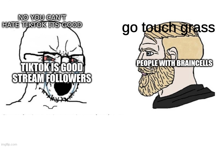 Should I put this on a tiktokisgood stream? | NO YOU CAN'T HATE TIKTOK ITS GOOD; go touch grass; TIKTOK IS GOOD STREAM FOLLOWERS; PEOPLE WITH BRAINCELLS | image tagged in noooo you can't just wojak | made w/ Imgflip meme maker