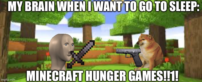Episode 20 of Minecraft hunger games airs at 3 AM | MY BRAIN WHEN I WANT TO GO TO SLEEP:; MINECRAFT HUNGER GAMES!!1! | image tagged in minecraft,memes | made w/ Imgflip meme maker