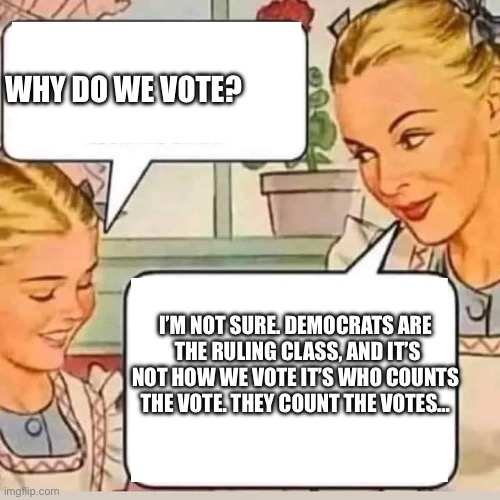 Cream scream | WHY DO WE VOTE? I’M NOT SURE. DEMOCRATS ARE
 THE RULING CLASS, AND IT’S NOT HOW WE VOTE IT’S WHO COUNTS THE VOTE. THEY COUNT THE VOTES… | image tagged in mom knows,memes | made w/ Imgflip meme maker
