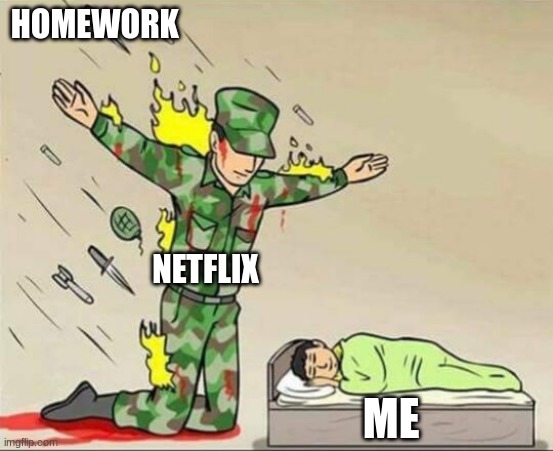 netflix and other things keep u distracted from doing ur homework | HOMEWORK; NETFLIX; ME | image tagged in soldier protecting sleeping child | made w/ Imgflip meme maker