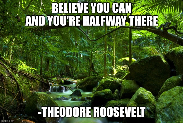 Daily inspirational quote 3/10/23 | BELIEVE YOU CAN AND YOU'RE HALFWAY THERE; -THEODORE ROOSEVELT | image tagged in meme | made w/ Imgflip meme maker