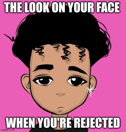 THE LOOK ON YOUR FACE; WHEN YOU'RE REJECTED | image tagged in memes | made w/ Imgflip meme maker