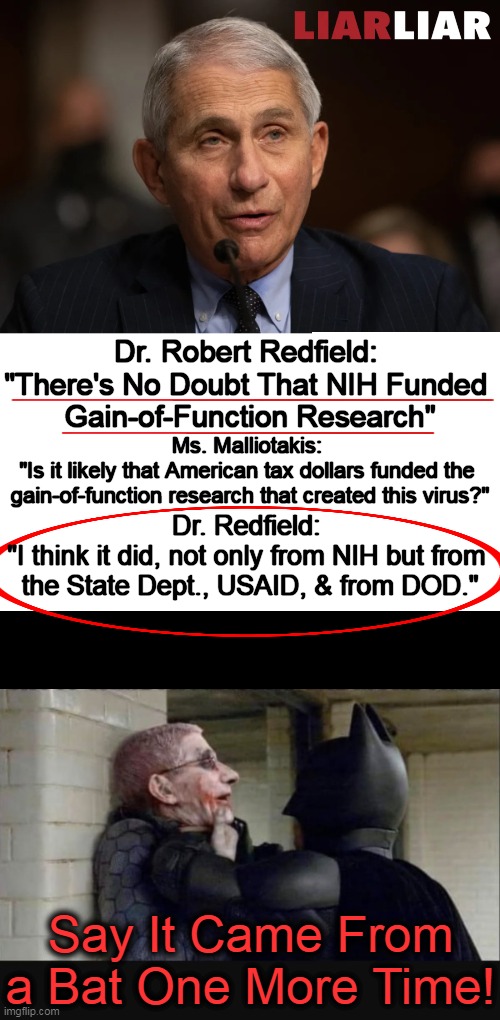 What else are they lying to us about? | Dr. Robert Redfield: 
"There's No Doubt That NIH Funded 
Gain-of-Function Research"; Ms. Malliotakis: 
"Is it likely that American tax dollars funded the 
gain-of-function research that created this virus?"; Dr. Redfield: 
"I think it did, not only from NIH but from 
the State Dept., USAID, & from DOD."; Say It Came From a Bat One More Time! | image tagged in politics,gain of function,dr fauci,lies lies and more lies,nih,dod | made w/ Imgflip meme maker