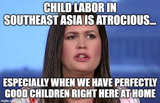 Garbage-human | CHILD LABOR IN SOUTHEAST ASIA IS ATROCIOUS... ESPECIALLY WHEN WE HAVE PERFECTLY GOOD CHILDREN RIGHT HERE AT HOME | image tagged in sarah huckabee sanders | made w/ Imgflip meme maker
