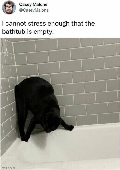 All black cats share one brain cell | image tagged in cats,black cat,satan,god,jesus,the bible | made w/ Imgflip meme maker