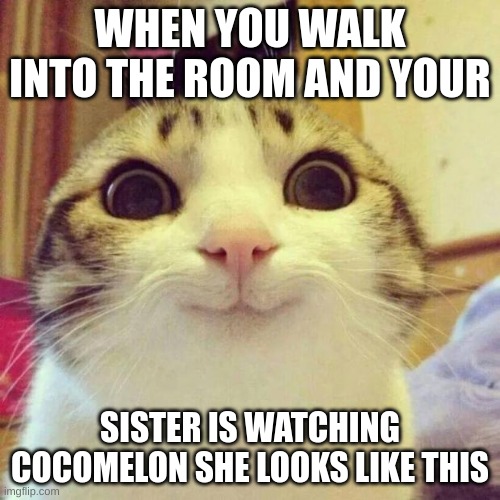 Smiling Cat | WHEN YOU WALK INTO THE ROOM AND YOUR; SISTER IS WATCHING COCOMELON SHE LOOKS LIKE THIS | image tagged in memes,smiling cat | made w/ Imgflip meme maker