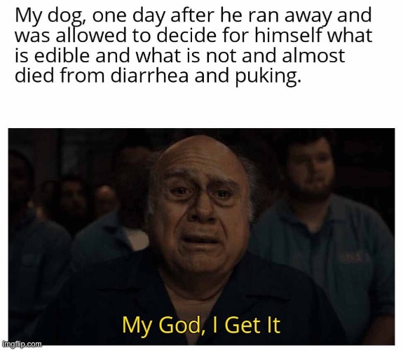 image tagged in memes,funny | made w/ Imgflip meme maker