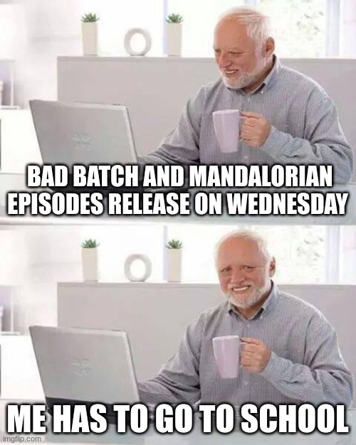 oh the pain | BAD BATCH AND MANDALORIAN EPISODES RELEASE ON WEDNESDAY; ME HAS TO GO TO SCHOOL | image tagged in memes,hide the pain harold | made w/ Imgflip meme maker