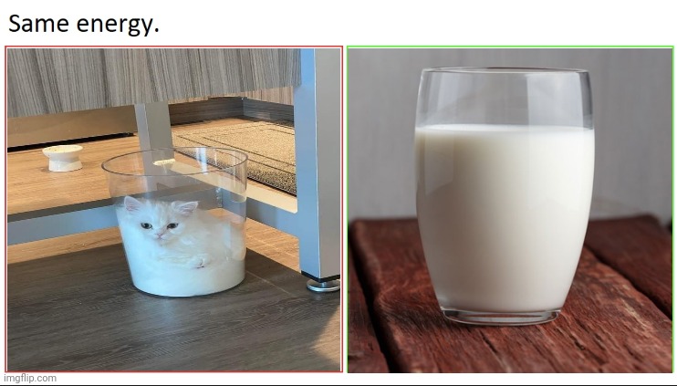 Cat, Milk | image tagged in same energy,cats,cat,milk,memes,liquid | made w/ Imgflip meme maker