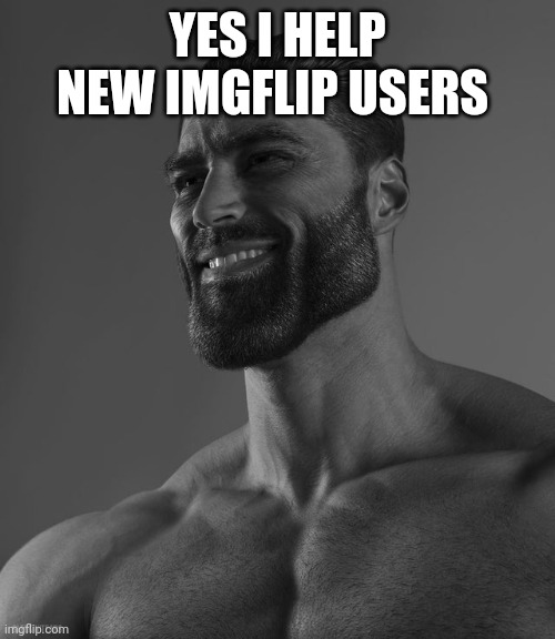 Real Chads | YES I HELP NEW IMGFLIP USERS | image tagged in giga chad | made w/ Imgflip meme maker