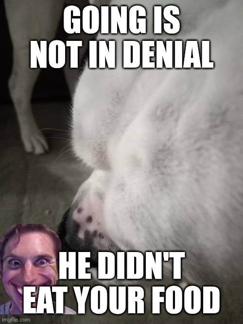 The Going denial | GOING IS NOT IN DENIAL; HE DIDN'T EAT YOUR FOOD | image tagged in the going | made w/ Imgflip meme maker