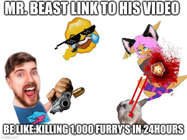 Mr.Beast videos are like "ToDaY wE aRe KiLlInG 1,000 fUrRyS iN 24hR |  MR. BEAST LINK TO HIS VIDEO; BE LIKE:KILLING 1,000 FURRY'S IN 24HOURS | image tagged in mr beast,anti furry,killing | made w/ Imgflip meme maker