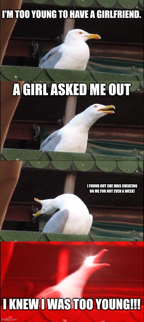 Inhaling Seagull Meme | I'M TOO YOUNG TO HAVE A GIRLFRIEND. A GIRL ASKED ME OUT; I FOUND OUT SHE WAS CHEATING ON ME FOR NOT EVEN A WEEK! I KNEW I WAS TOO YOUNG!!! | image tagged in memes,inhaling seagull,b r u h,sus,you need jesus,why | made w/ Imgflip meme maker