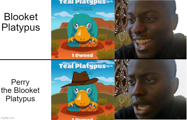 Disappointed Black Guy |  Blooket Platypus; Perry the Blooket Platypus | image tagged in disappointed black guy,perry the platypus,platypus,black guy confused,animals,funny animals | made w/ Imgflip meme maker