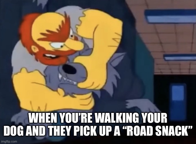 When Your Dog Eats Something They Shouldn’t | WHEN YOU’RE WALKING YOUR DOG AND THEY PICK UP A “ROAD SNACK” | image tagged in willie vs wolf,dog,road snack,dont eat that,the simpsons | made w/ Imgflip meme maker