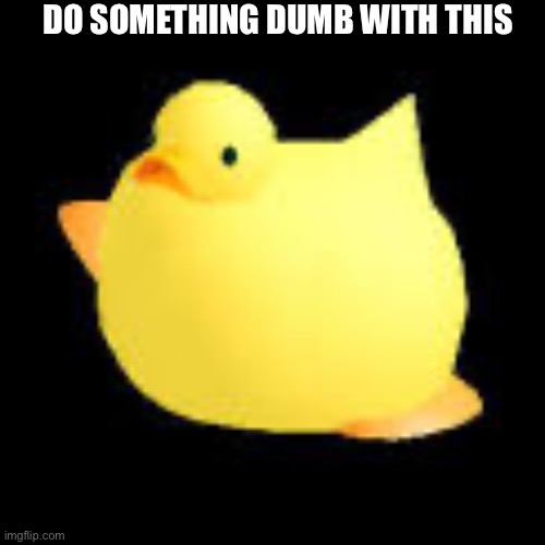 Fat ducky | DO SOMETHING DUMB WITH THIS | image tagged in fat ducky | made w/ Imgflip meme maker