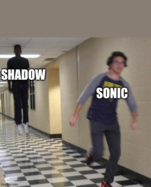 In a nutshell. | SONIC; SHADOW | image tagged in sonic the hedgehog | made w/ Imgflip meme maker