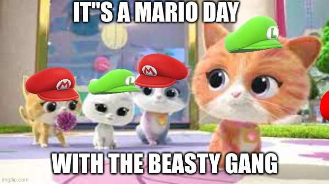SUPERKITTIES MARIO DAY | IT"S A MARIO DAY; WITH THE BEASTY GANG | image tagged in mario,cat | made w/ Imgflip meme maker