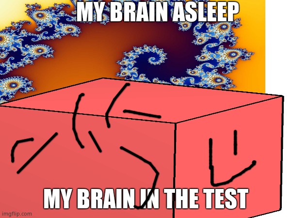 Everyone in a nutshell (Don't mind my bad drawing) | MY BRAIN ASLEEP; MY BRAIN IN THE TEST | made w/ Imgflip meme maker