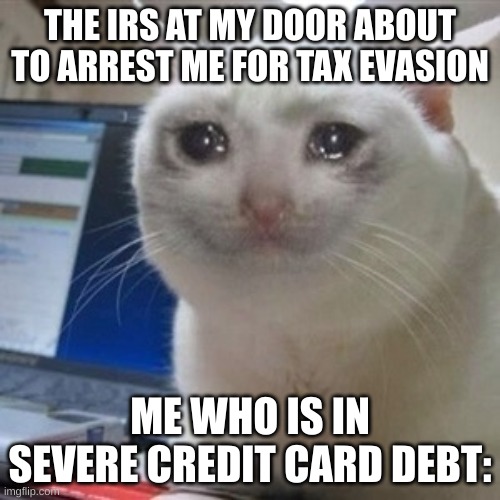 Crying cat | THE IRS AT MY DOOR ABOUT TO ARREST ME FOR TAX EVASION; ME WHO IS IN SEVERE CREDIT CARD DEBT: | image tagged in crying cat | made w/ Imgflip meme maker